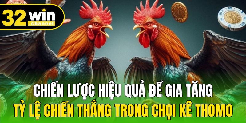 Chiến lược hiệu quả để gia tăng tỷ lệ chiến thắng trong chọi kê Thomo