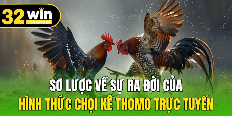 Sơ lược về sự ra đời của hình thức chọi kê Thomo trực tuyến